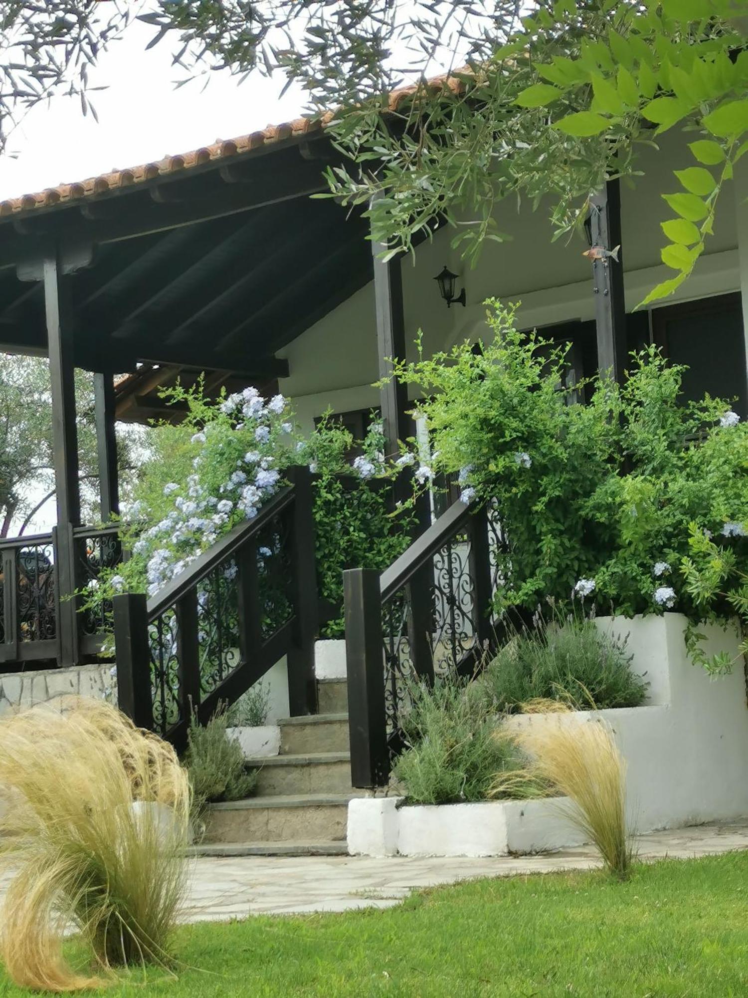 Villa Joy Ormos Panagias Ngoại thất bức ảnh