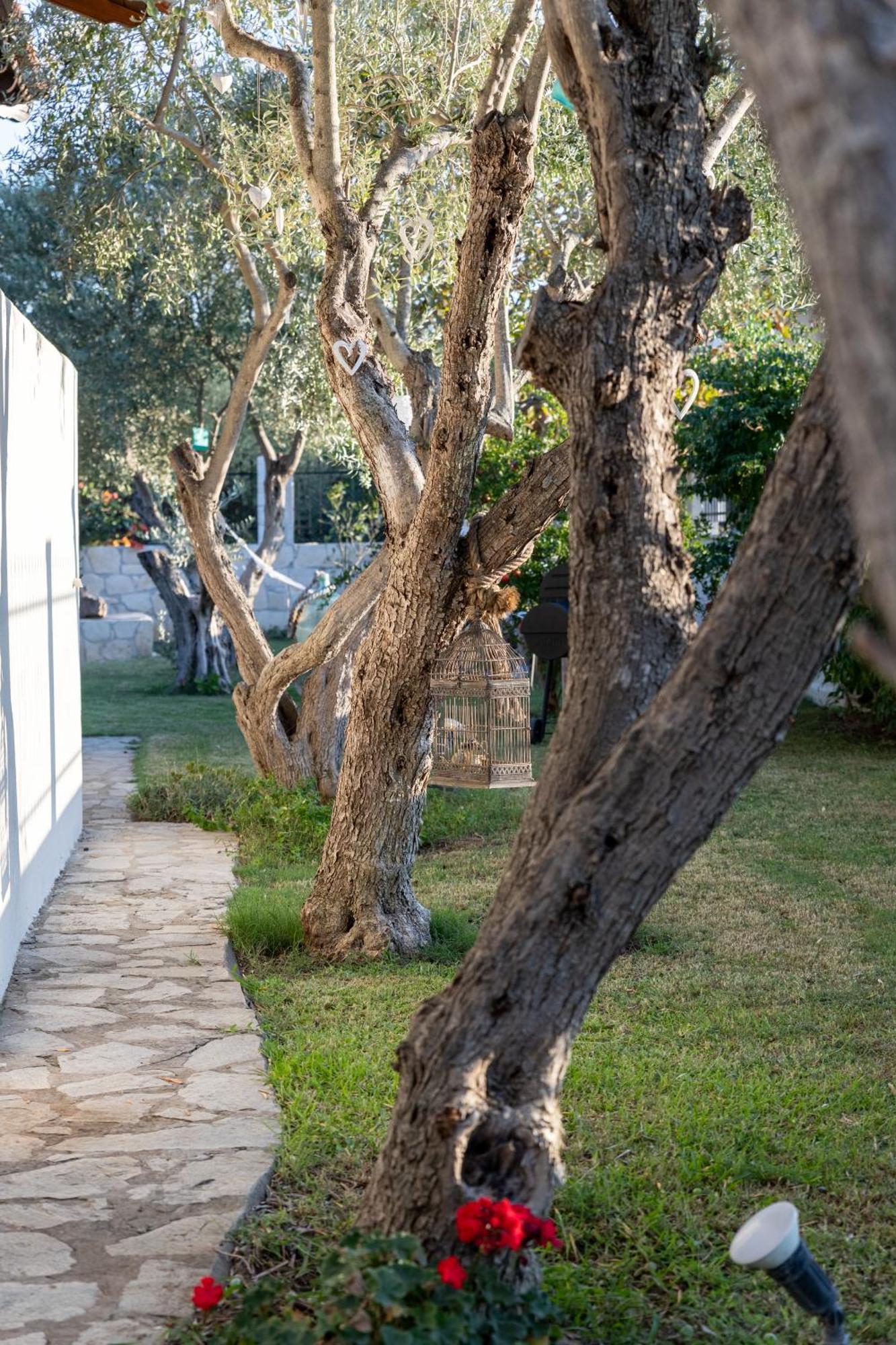 Villa Joy Ormos Panagias Ngoại thất bức ảnh